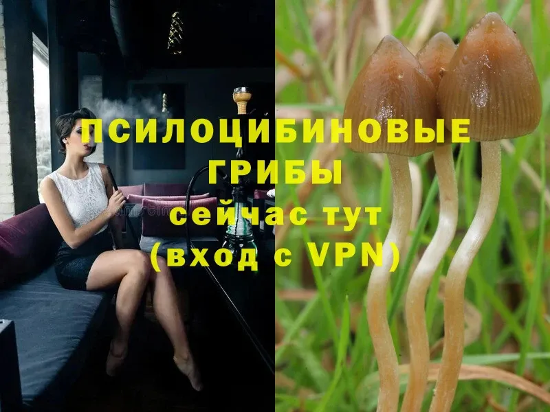 Галлюциногенные грибы Magic Shrooms  Белый 